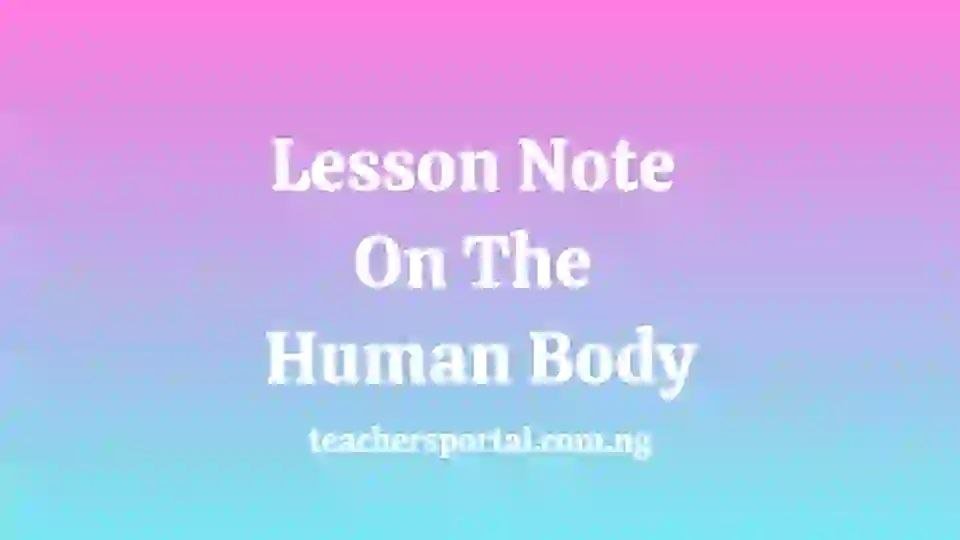Lesson Note On The Human Body For Primary 4